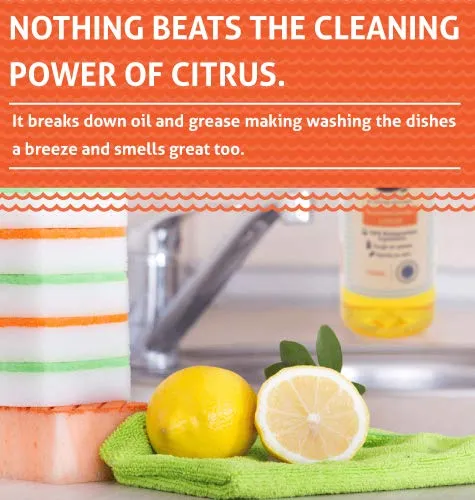 365 Dishwashing liquid, Hand Moisturising, Eco-Friendly, Non-Toxic, Plant-Based cleaning