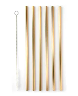 Aqua S/S Straight Straw 6pc With Brush - Gold