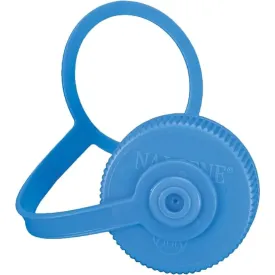 Blue Loop-Top Wide Mouth Replacement Lid