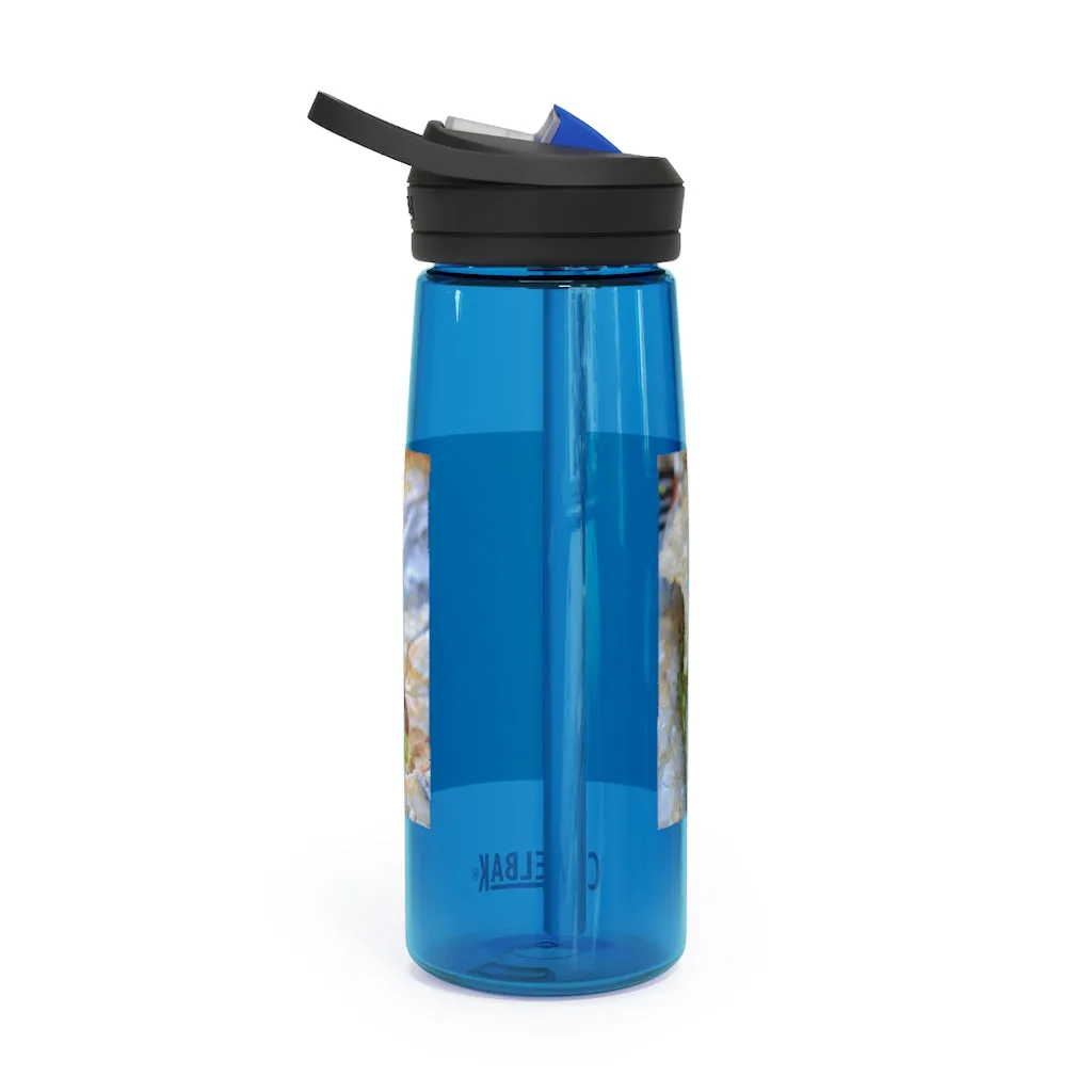 Chicken Burrito CamelBak Eddy®  Water Bottle, 20oz / 25oz