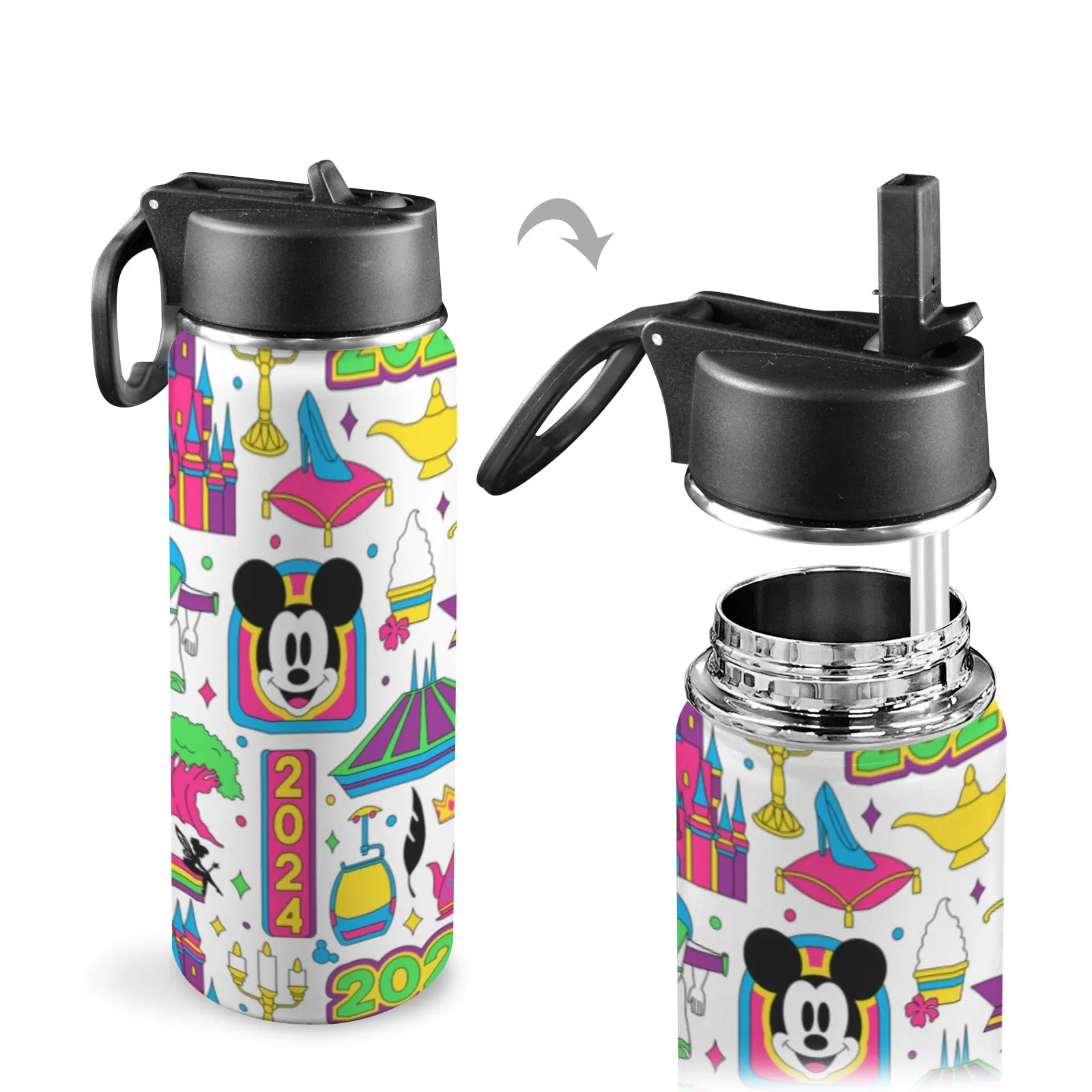 Disney 2024 Insulated Water Bottle