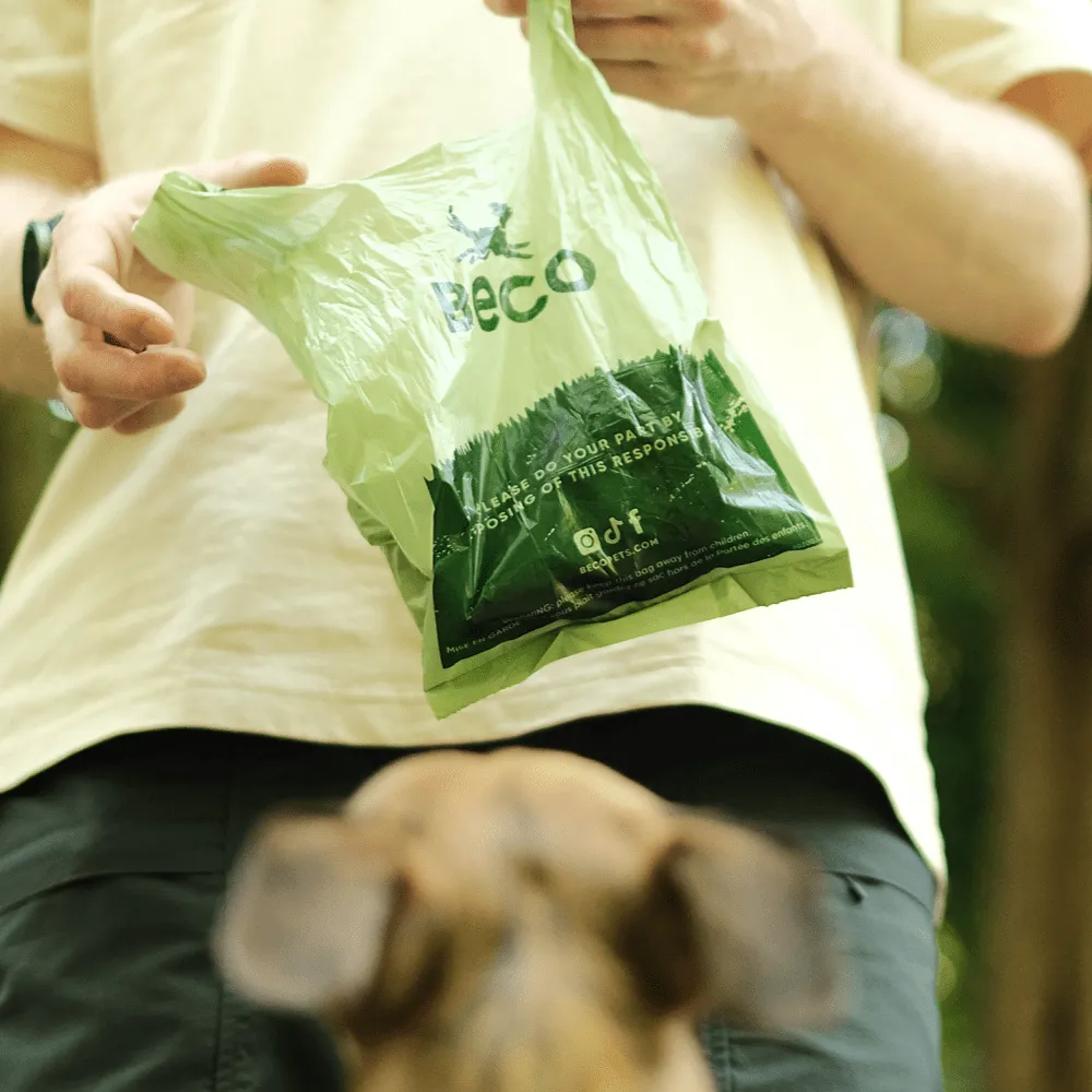 Large Poop Bags with Handles | Mint Scented