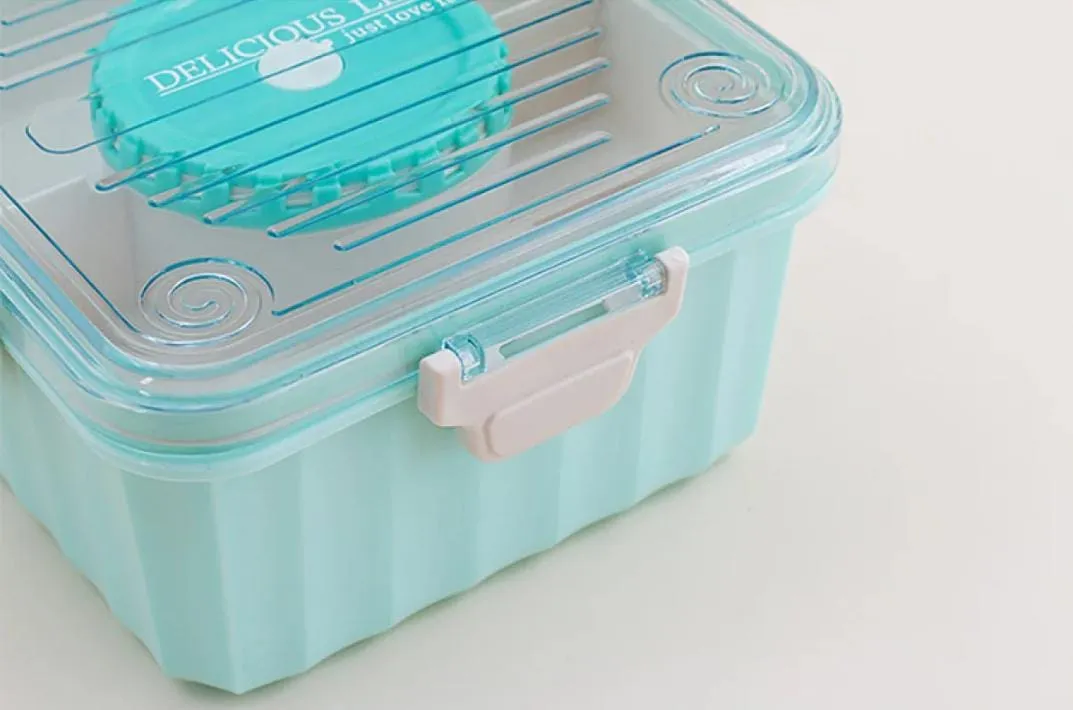 Lunch Box With Separate Partition (Microwave Safe)