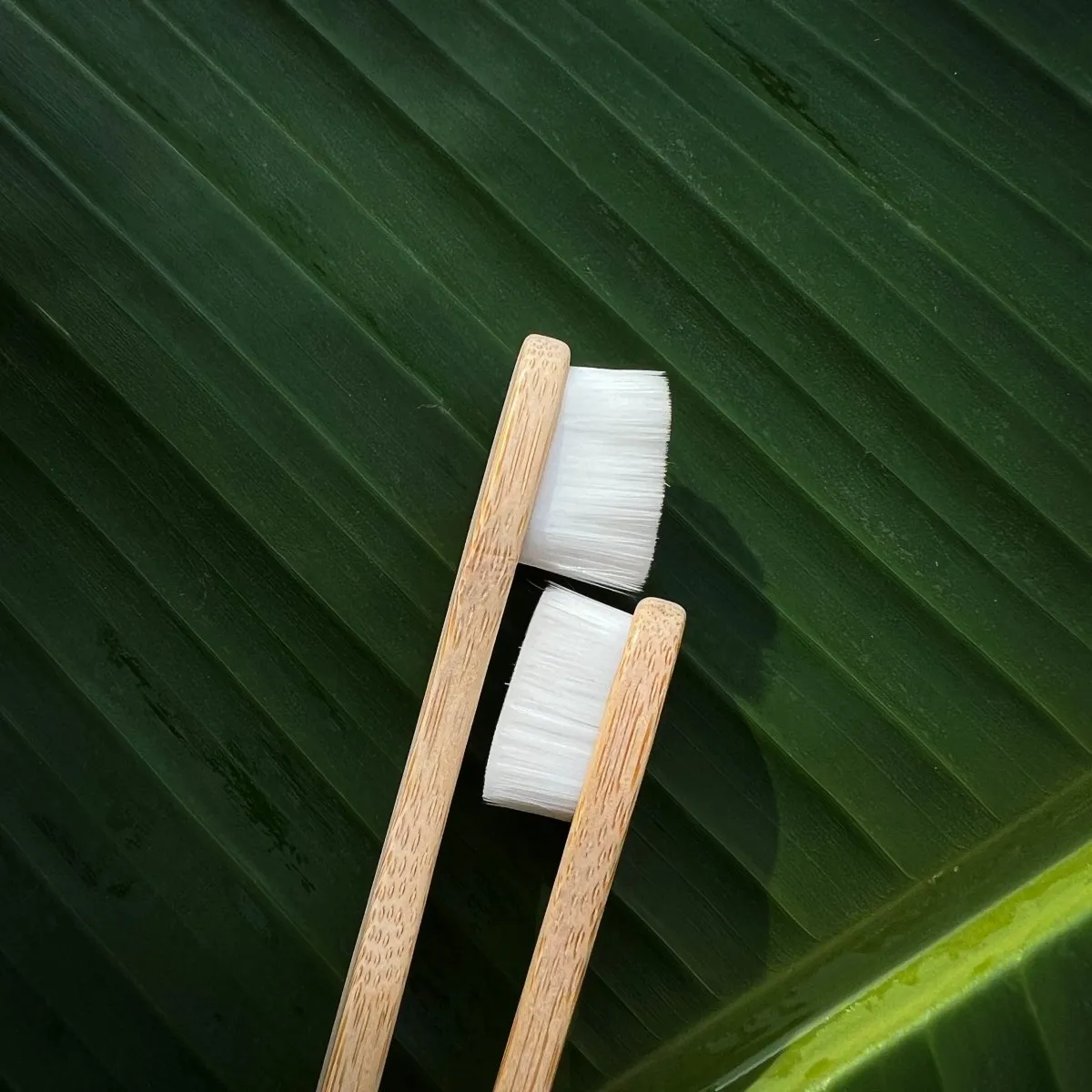 Nano Bambooclean Toothbrush Set | Natural Bamboo Handle | Ultra-Soft Flat Bristles | For Sensitive Gums