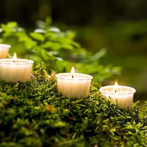 Natural Wax Sustainable Tealight