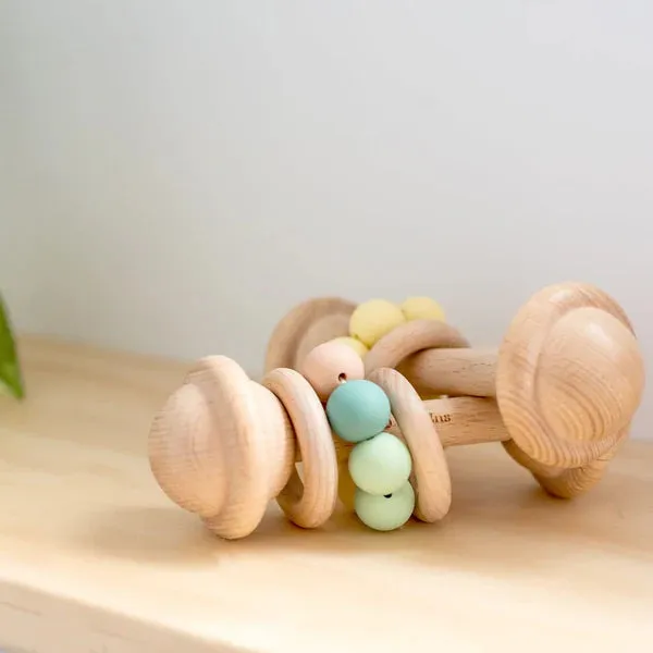 Pastel Multi Color Rattle