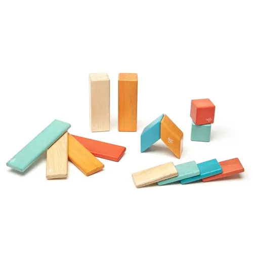 Tegu 14 Piece Magnetic Wooden Block Set