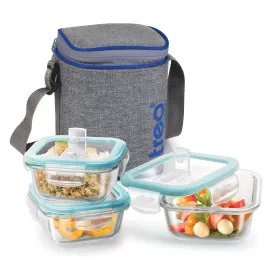 Treo by Milton All Fresh Square Glass Tiffin Containers With Insulated Jacket, 3 Containers, 320 ml Each, Grey