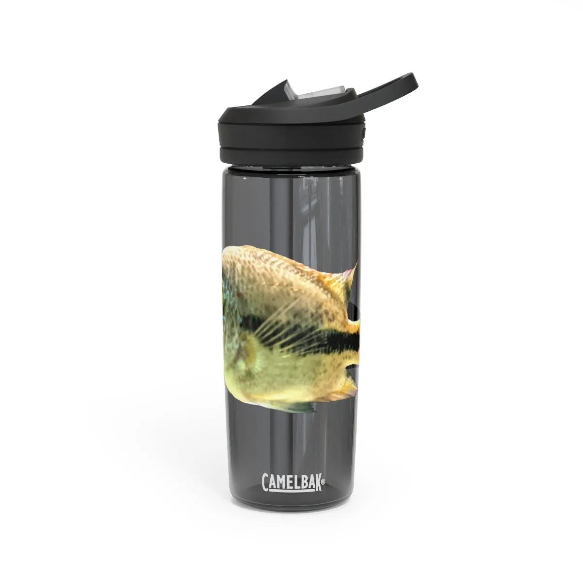 Yellow and Black Fish CamelBak Eddy®  Water Bottle, 20oz / 25oz